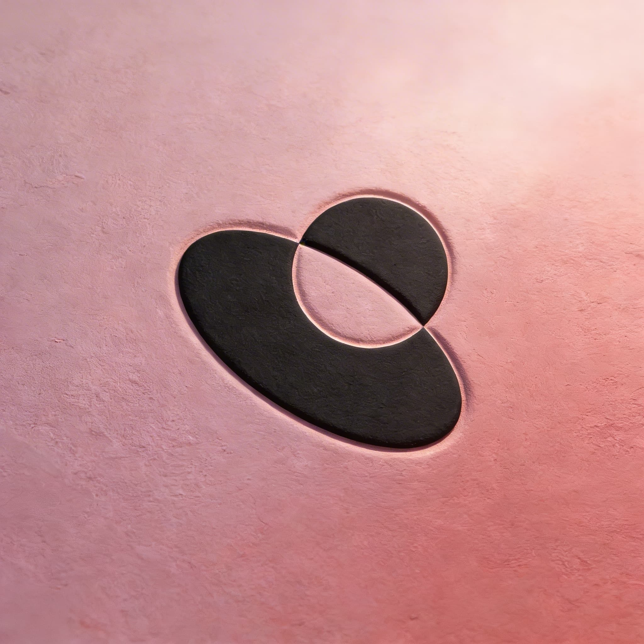 Contractors & Trades